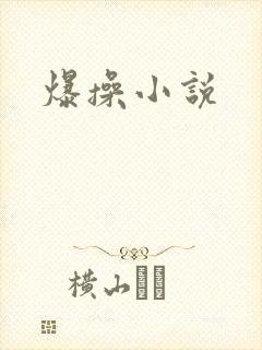爆操小说