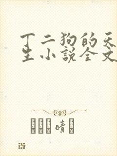 丁二狗的天梯人生小说全文免费阅读