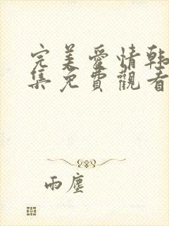 完美爱情韩剧全集免费观看封面