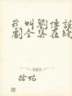 我叫刘传说电视剧全集在线观看