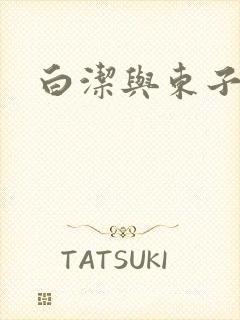 白洁与东子小说封面