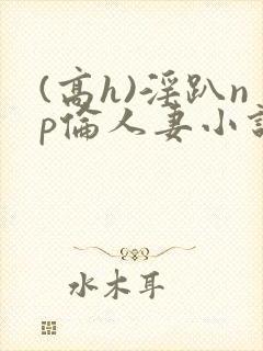 (高h)淫趴np伦人妻小说