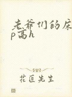 老爷们的床奴np高h