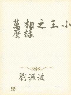 万相之王小说怎么样