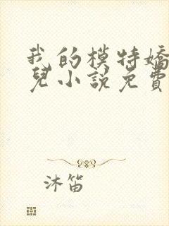 我的模特娇妻欣儿小说免费阅读封面