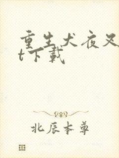 重生犬夜叉txt下载