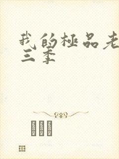 我的极品老婆第三季封面