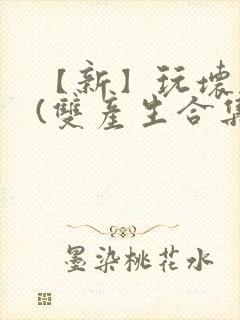 【新】玩坏美人(双产生合集)小说