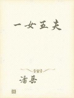 一女五夫封面