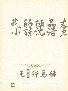 我的极品丈母娘小说沈浩免费阅读