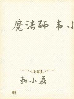 魔法师 韦小宝封面