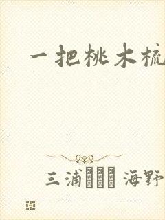 一把桃木梳封面