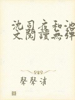 沈司夜和池茵全文阅读无弹窗笔趣阁封面