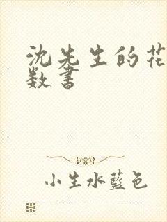 沈先生的花式调数书