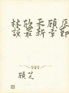 林欣禾顾辰昀小说最新章节免费阅读