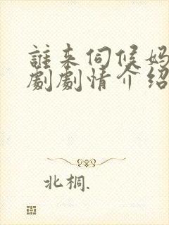 谁来伺候妈电视剧剧情介绍