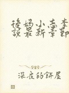 后妈小志李韵小说最新章节更新内容