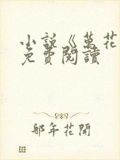 小说《万花筒》免费阅读封面