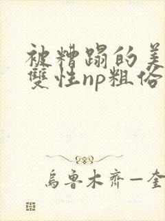 被糟蹋的美人(双性np粗俗)