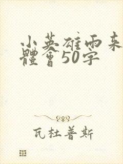 小英雄雨来读书体会50字