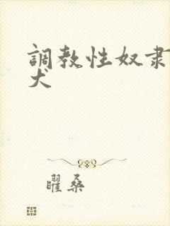 调教性奴隶美女犬