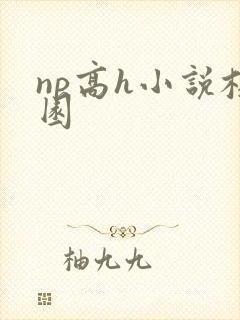 np高h小说校园