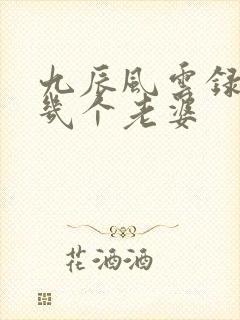 九辰风云录男主几个老婆