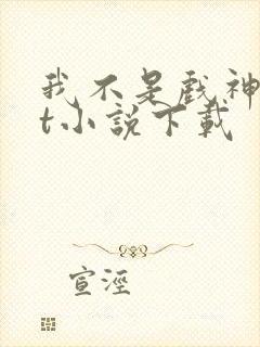 我不是戏神txt小说下载封面