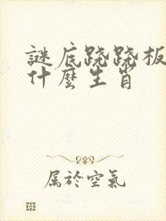 谜底跷跷板代表什么生肖