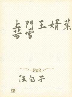 上门王婿叶凡唐若雪封面