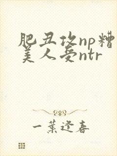 肥丑攻np糟蹋美人受ntr封面