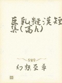 巨乳糙汉短篇合集(高h)