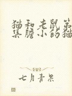 猫和老鼠第14集胆小的猫咪