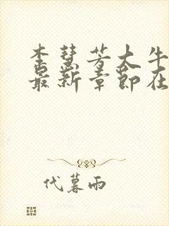 李慧芳大牛小说最新章节在哪里看