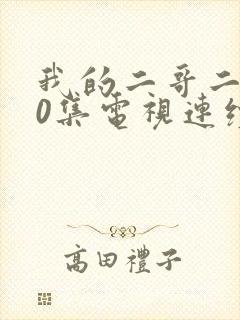 我的二哥二嫂50集电视连续剧封面