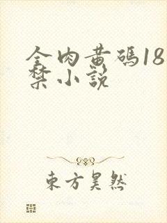 全肉黄码18无禁小说