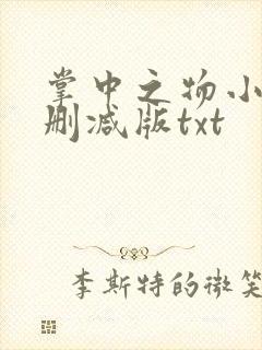 掌中之物小说未删减版txt