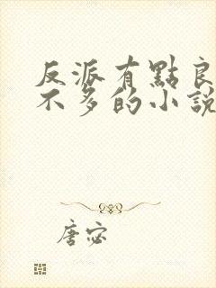 反派有点良心但不多的小说