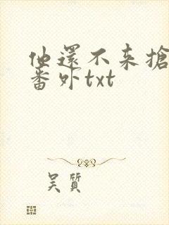 他还不来抢走我番外txt