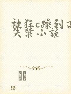 被狂c躁到高潮失禁小说封面