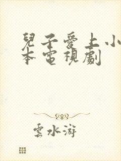 儿子爱上小妈日本电视剧