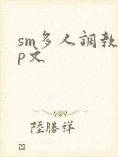 sm多人调教np文