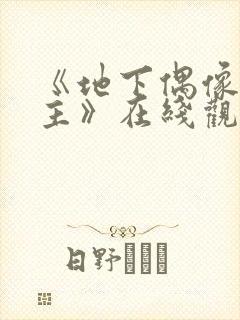 《地下偶像双男主》在线观看