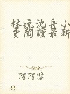 林晚沈舟小说免费阅读最新章节