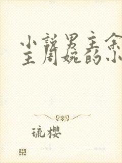 小说男主余年女主周婉的小说封面