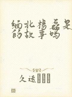 缅北杨磊是真实的故事吗