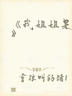 《我姐姐是法官》