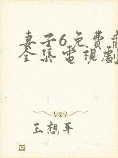 妻子6免费观看全集电视剧