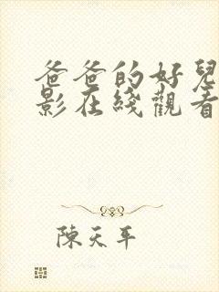 爸爸的好儿子电影在线观看