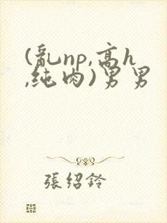 (乱np,高h,纯肉)男男